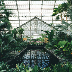 中国老奶奶操逼ⅩⅩxeee69
